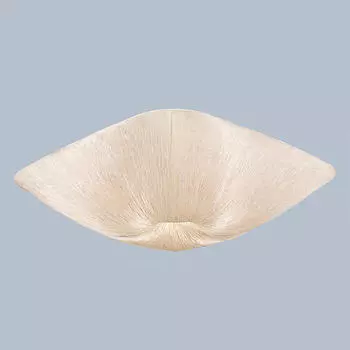 Светильник потолочный L'Arte Luce LUXO L17250.55