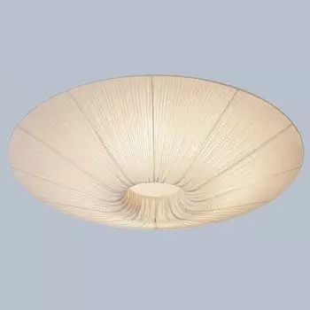 Светильник потолочный L'Arte Luce LUXO L17258.23