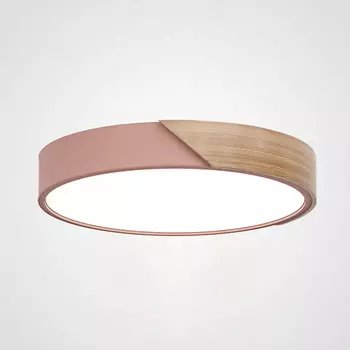 Светильник потолочный LIGHTERA Clips LE10613