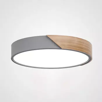 Светильник потолочный LIGHTERA Clips LE10615