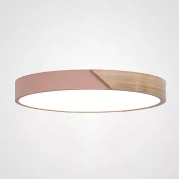 Светильник потолочный LIGHTERA Clips LE10618