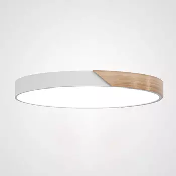 Светильник потолочный LIGHTERA Clips LE10621