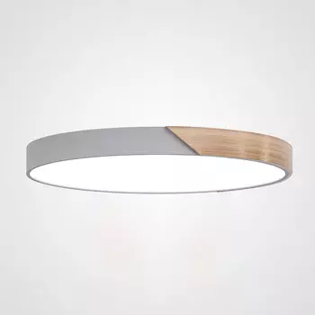 Светильник потолочный LIGHTERA Clips LE10625