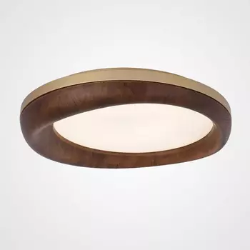 Светильник потолочный LIGHTERA Runissa LE11468