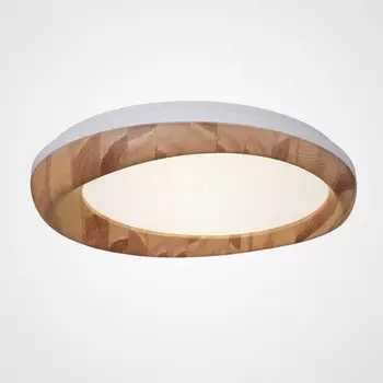 Светильник потолочный LIGHTERA Runissa LE11469