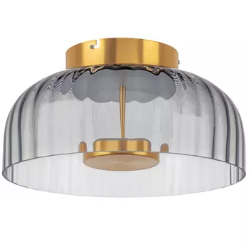 Светильник потолочный Lightstar Celesta 809061