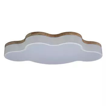 Светильник потолочный Loft It Axel 10005/36 White