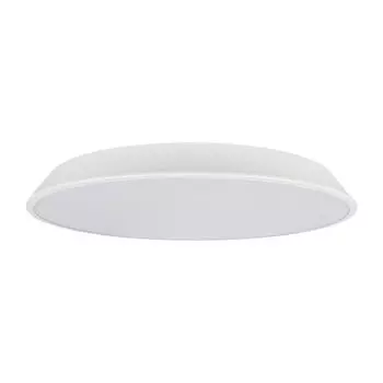 Светильник потолочный Loft It Brim 10226 White