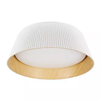 Светильник потолочный Loft It Evans 10224 White