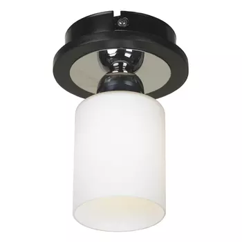 Светильник потолочный Lussole Caprile LSF-6107-01