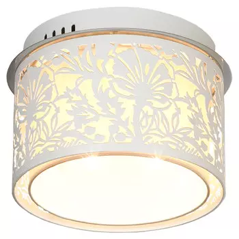 Светильник потолочный Lussole GRLSF-2307-04