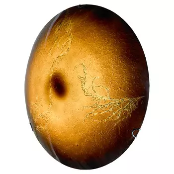 Светильник потолочный Lussole Orvieto LSN-0922-01