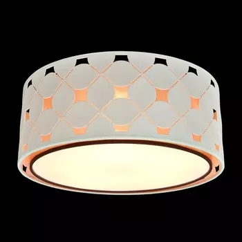 Светильник потолочный Максисвет 1-6502-5-CR E27