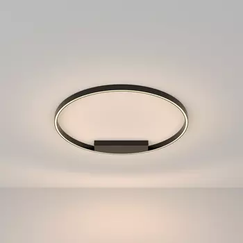 Светильник потолочный Maytoni Rim MOD058CL-L50B3K
