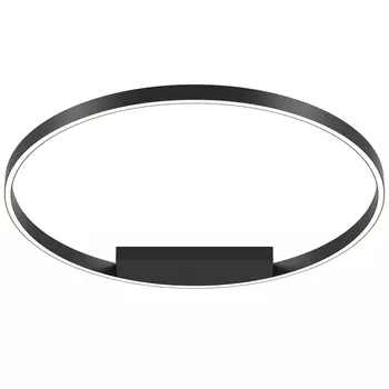 Светильник потолочный Maytoni Rim MOD058CL-L50BK