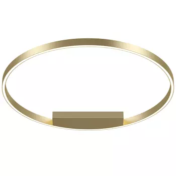 Светильник потолочный Maytoni Rim MOD058CL-L50BSK