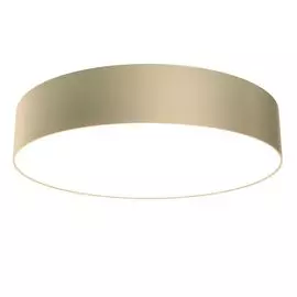 Светильник потолочный Maytoni Zon C032CL-L43MG4K