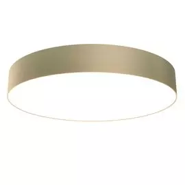 Светильник потолочный Maytoni Zon C032CL-L48MG3K