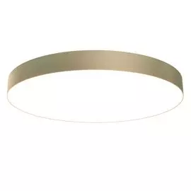 Светильник потолочный Maytoni Zon C032CL-L96MG3K