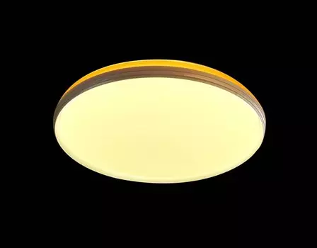 Светильник потолочный Мелодия Света 000021513