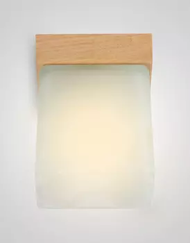 Светильник потолочный Мелодия Света Nika 000036813