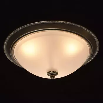 Светильник потолочный MW Light Ариадна 450015503