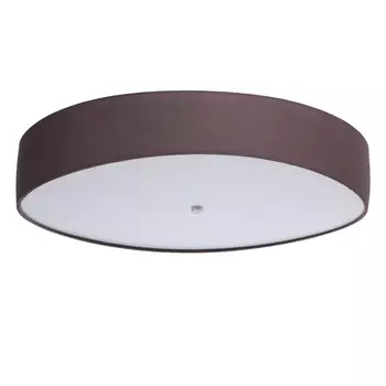 Светильник потолочный MW Light Дафна 453011601