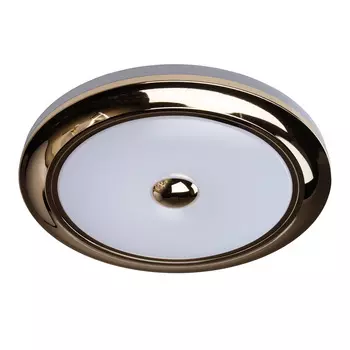 Светильник потолочный MW Light Энигма 688010101