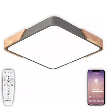 Светильник потолочный Natali Kovaltseva LED LAMPS 81412