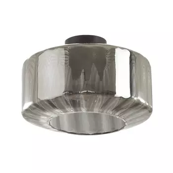 Светильник потолочный Odeon Light Binga 4746/1C