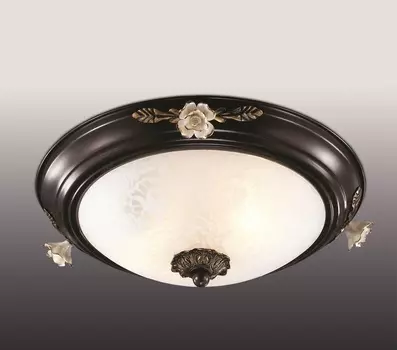 Светильник потолочный Odeon Light Bone 2693/2C