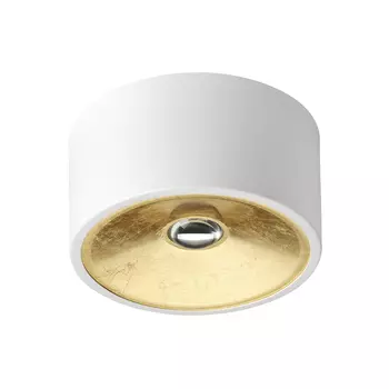 Светильник потолочный Odeon Light Glasgow 3892/1C