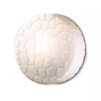 Светильник потолочный Odeon Light Luno 2246/1C