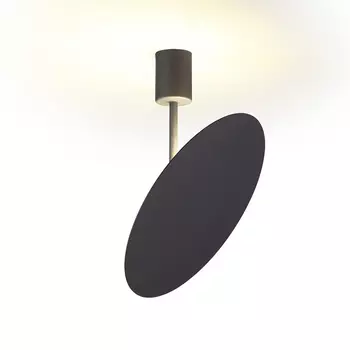 Светильник потолочный Odeon Light Whittaker 3843/12CL