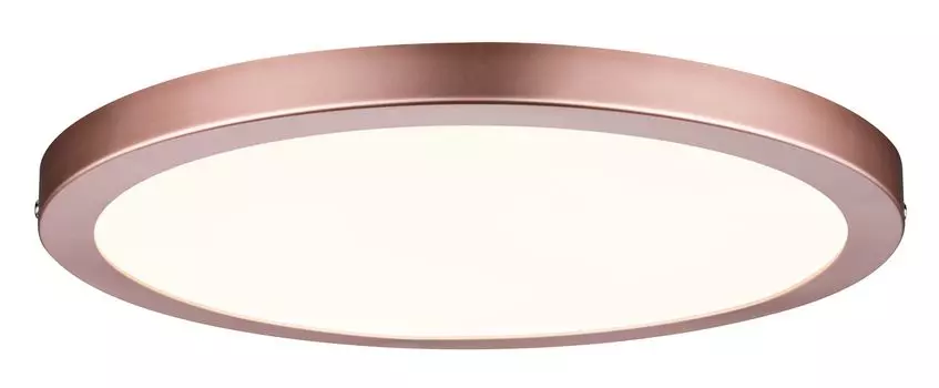 Потолочный светодиодный светильник Paulmann 70872