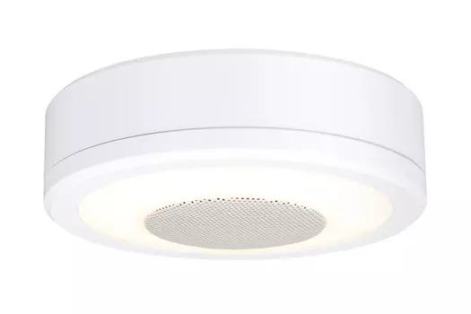 Потолочный LED светильник Paulmann 92096