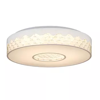 Светильник потолочный RiForma 5038 1-5038-WH Y LED