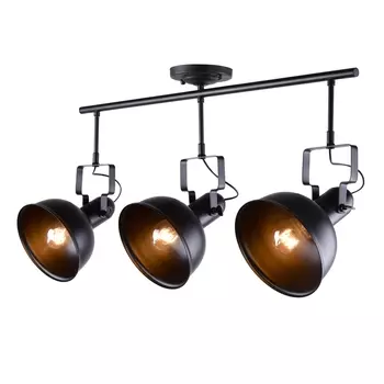 Светильник потолочный RiForma Scoop 8565 1-8565-3-BK E27