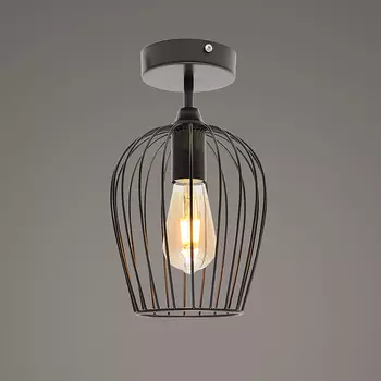 Светильник потолочный Северный свет Восторг 17022