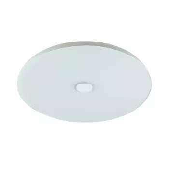 Потолочный LED светильник Sonex Roki Muzcolor 4629/CL