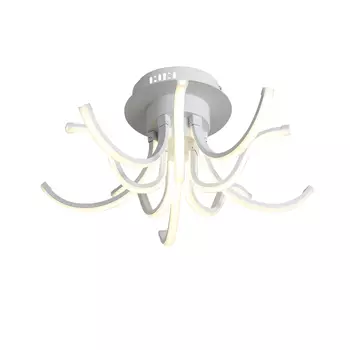 Светильник потолочный ST Luce Finde SL826.502.10