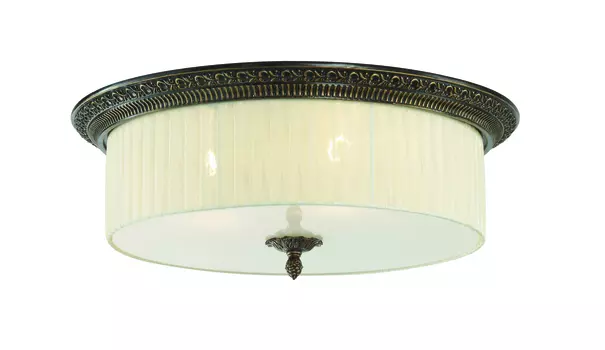 Светильник потолочный ST Luce SL134.402.03