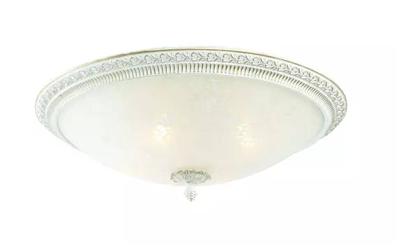 Светильник потолочный ST Luce SL135.502.04
