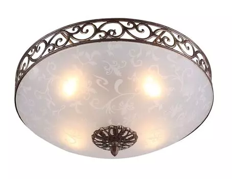 Светильник потолочный ST Luce SL244.202.04