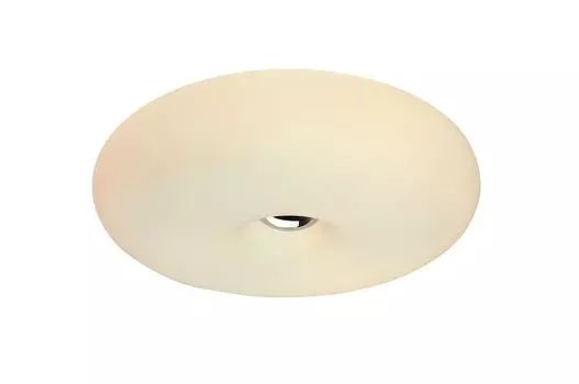Светильник потолочный ST Luce SL285.502.03