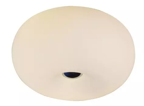 Светильник потолочный ST Luce SL297.502.03