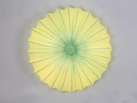 Светильник потолочный ST Luce SL351.022.05