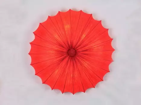 Светильник потолочный ST Luce SL351.162.08