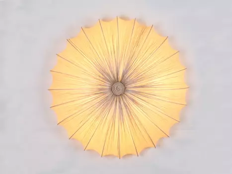 Светильник потолочный ST Luce SL351.172.08