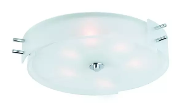 Светильник потолочный ST Luce SL484.502.06